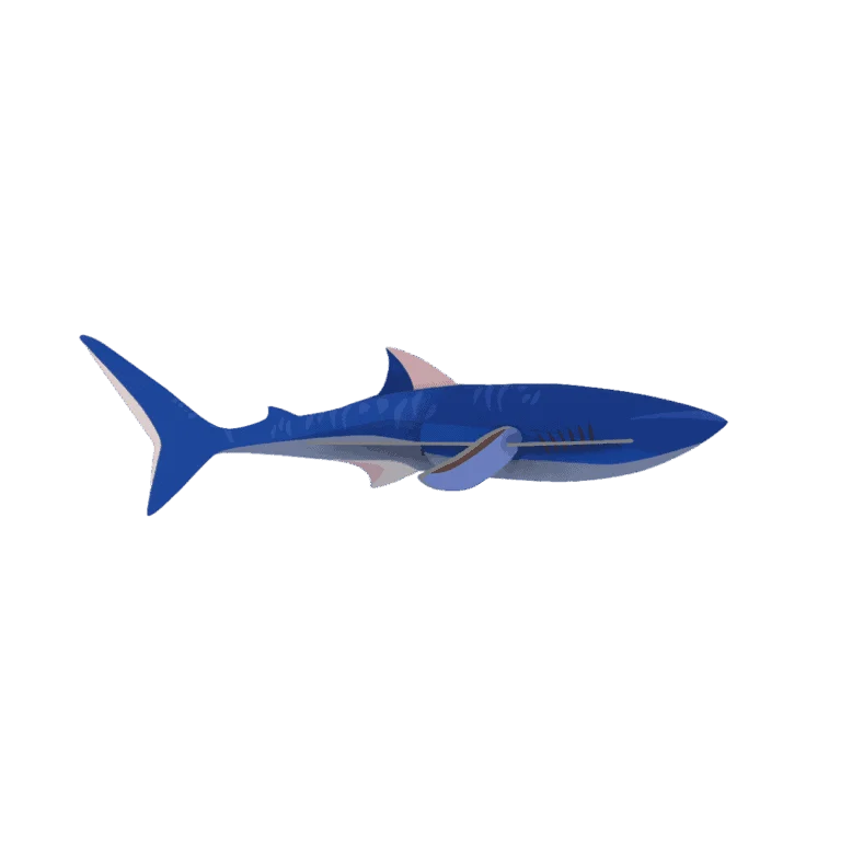Wanddeko studio ROOF “Shark” | Hai-Wanddeko aus recyceltem Karton
